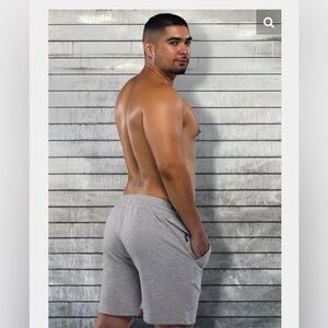 Mr. S Gym Class Short Grey